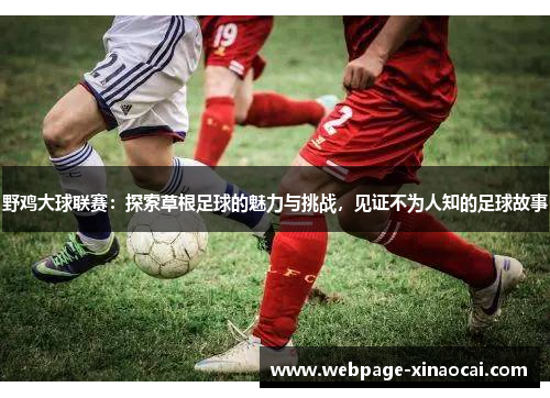 野鸡大球联赛：探索草根足球的魅力与挑战，见证不为人知的足球故事